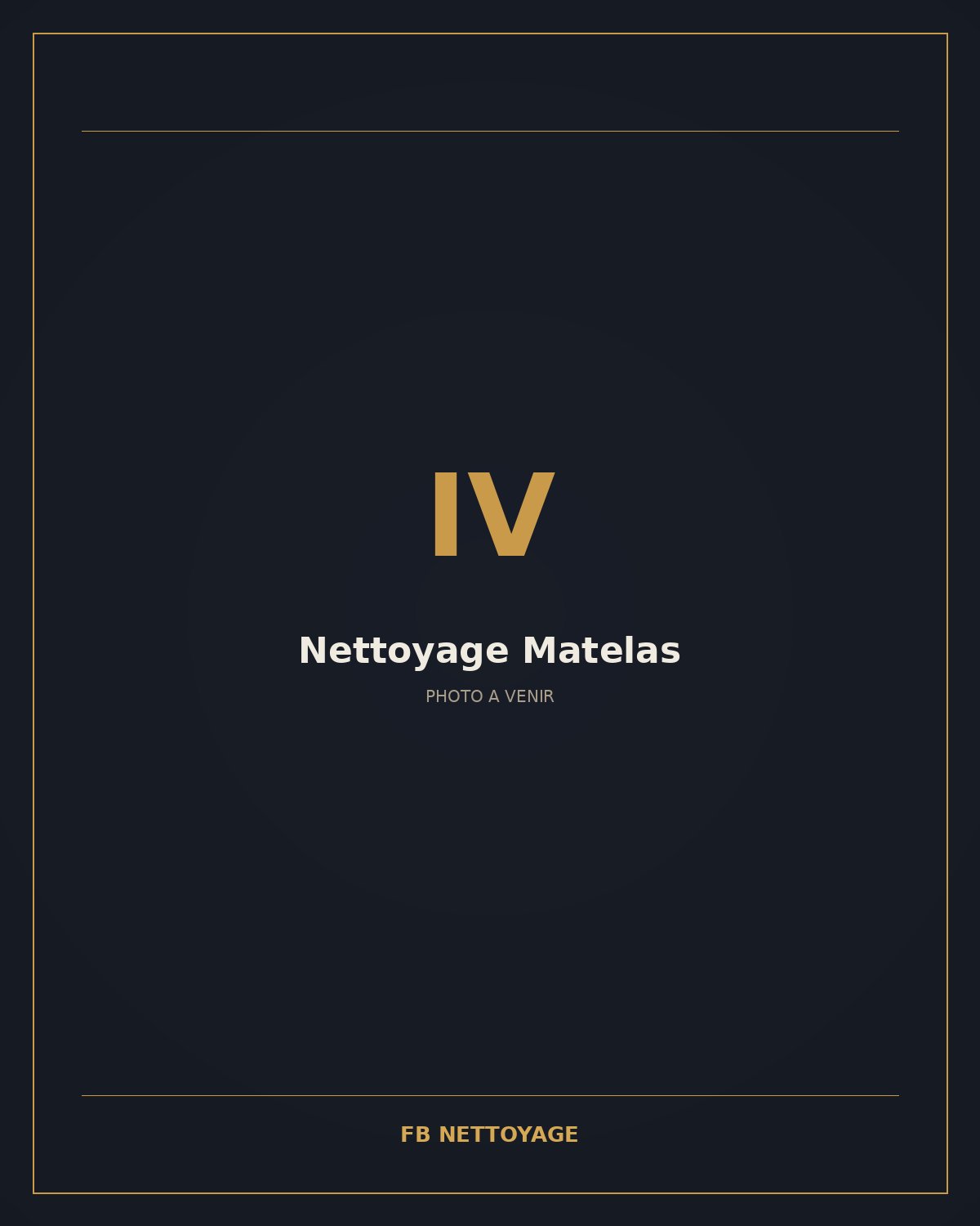 Nettoyage matelas injection-extraction Vannes 56